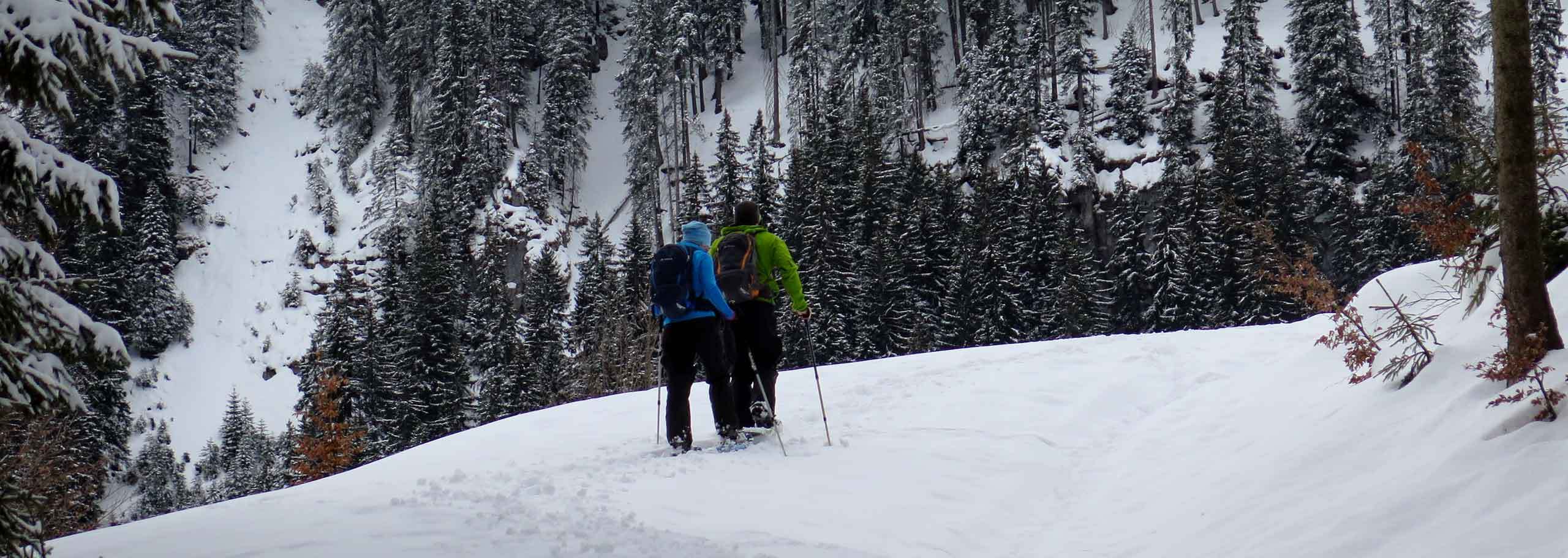 Snowshoeing in Maira Valley, Guided Snowshoes Trips